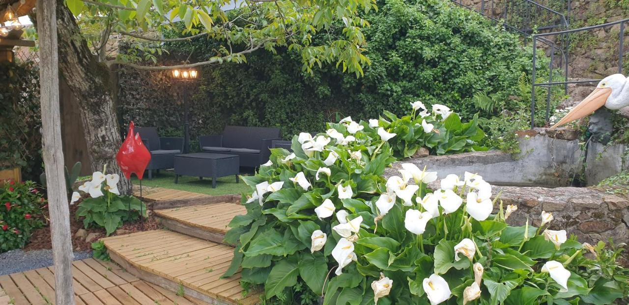 Casa BelaVista Penela - Charming Guest House - Adults Only Bagian luar foto