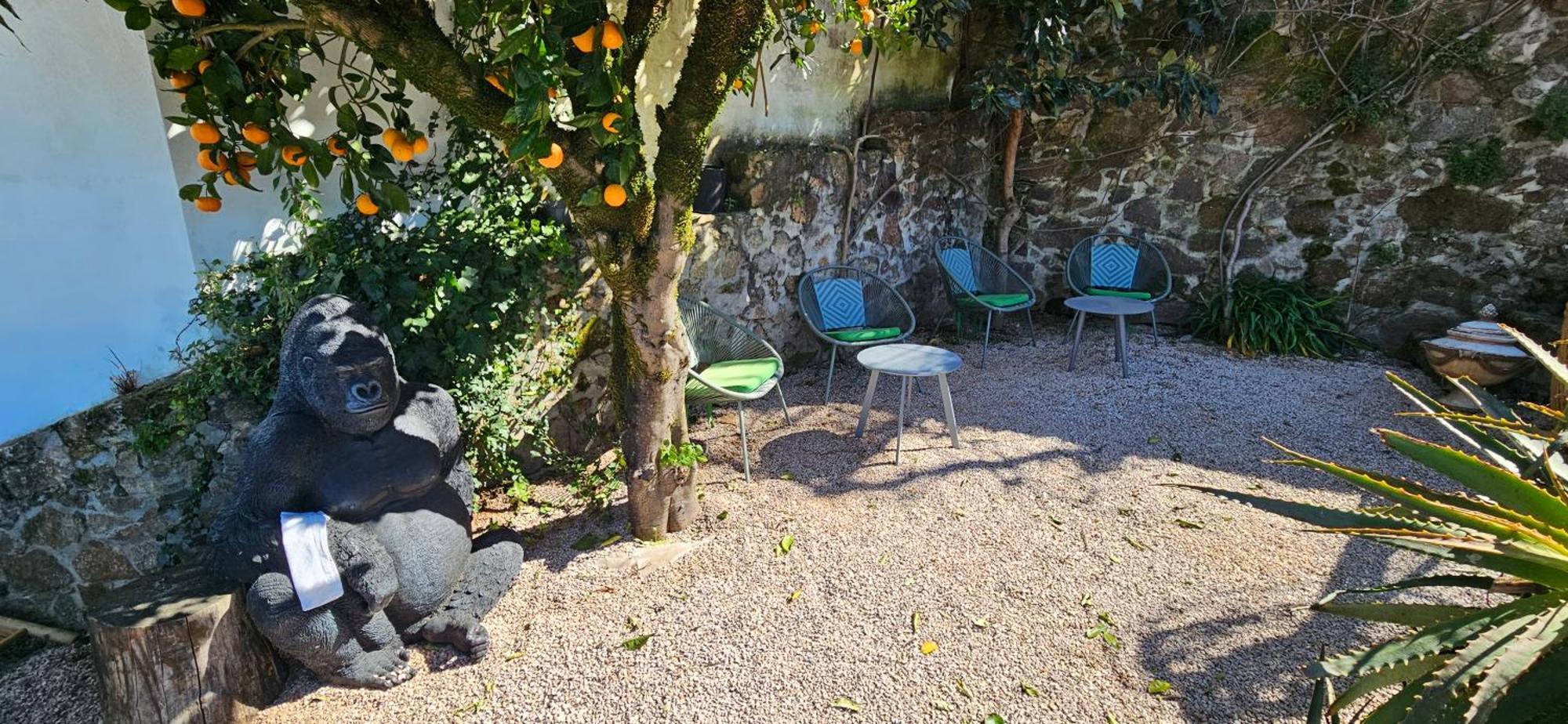 Casa BelaVista Penela - Charming Guest House - Adults Only Bagian luar foto